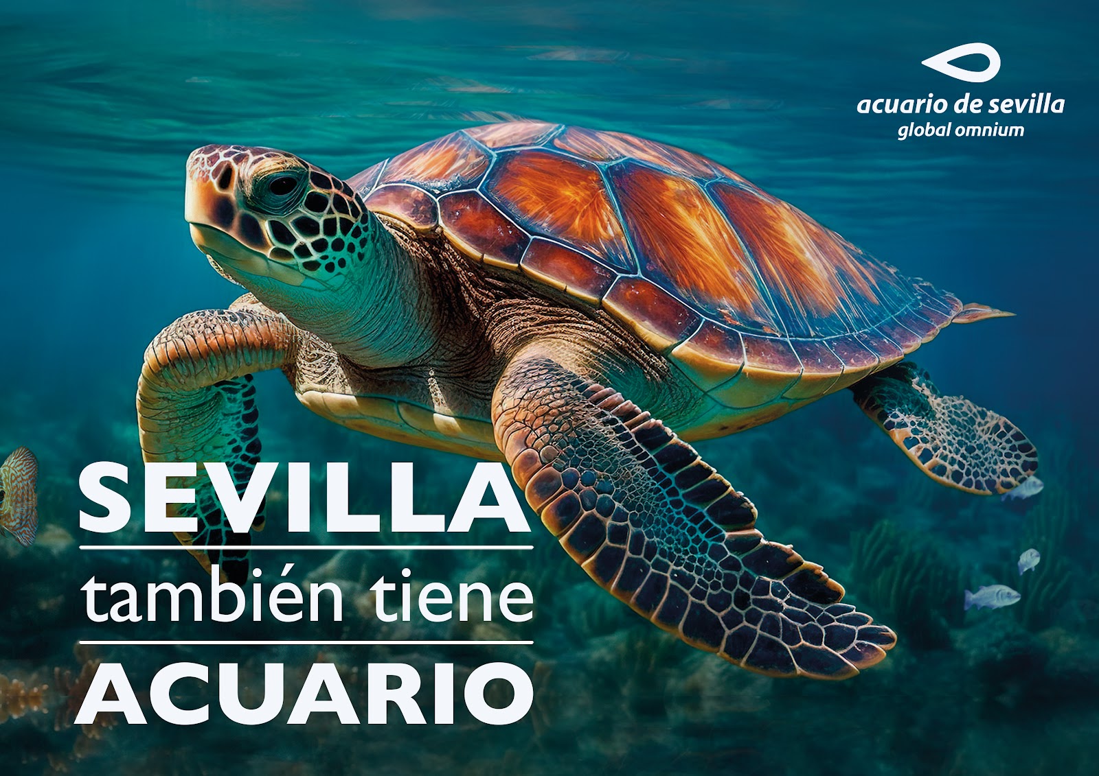 Sevilla Aquarium — photo