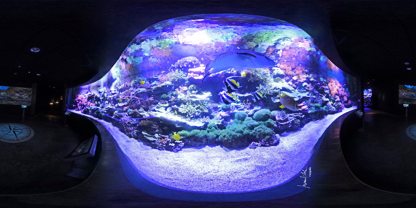 Sevilla Aquarium — photo 6