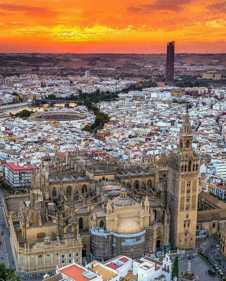 Sevilla Katedrali — fotoğraf 4