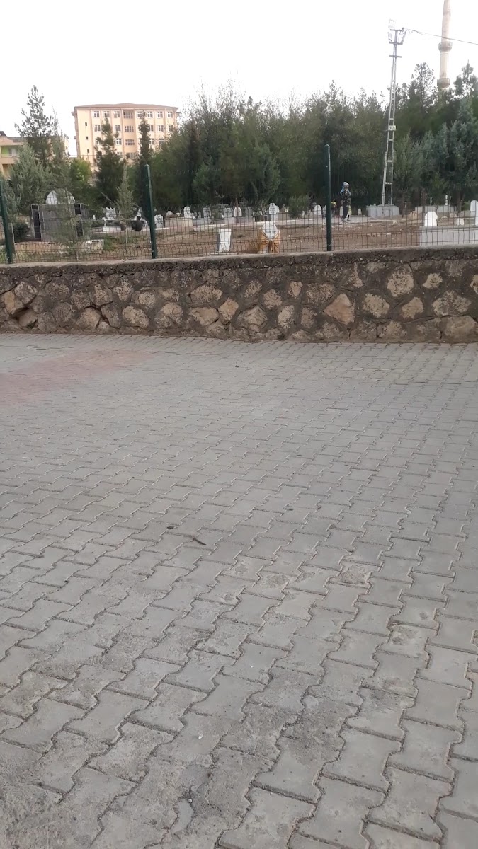 Şeyh Musa Mezarlığı — fotoğraf 2