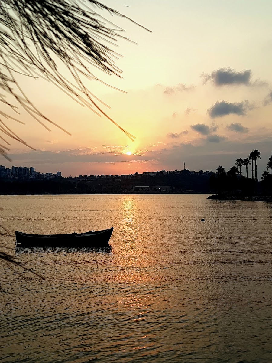 Seyhan Barajı — photo 2