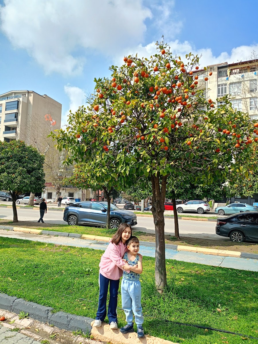 Seyhan Merkez Park — fotoğraf 2