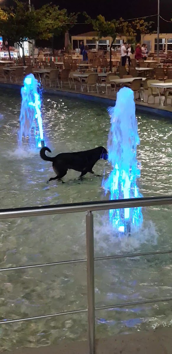 Seyir Terasi Cafe — fotoğraf 1