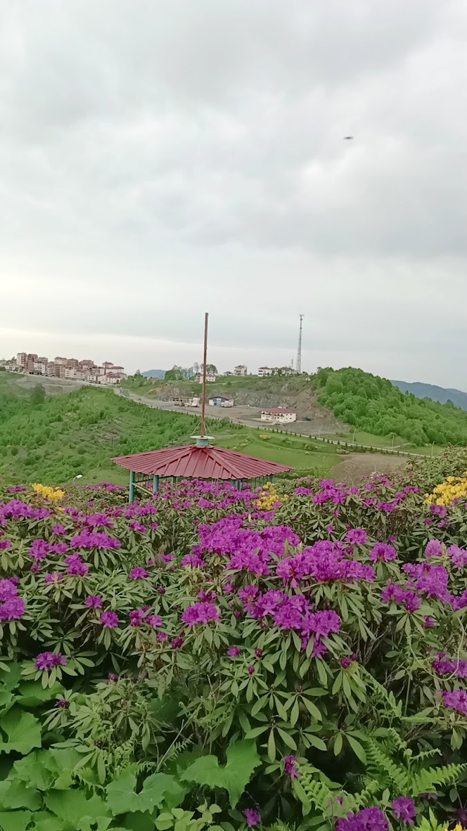 SEYİR TERASI — photo 3