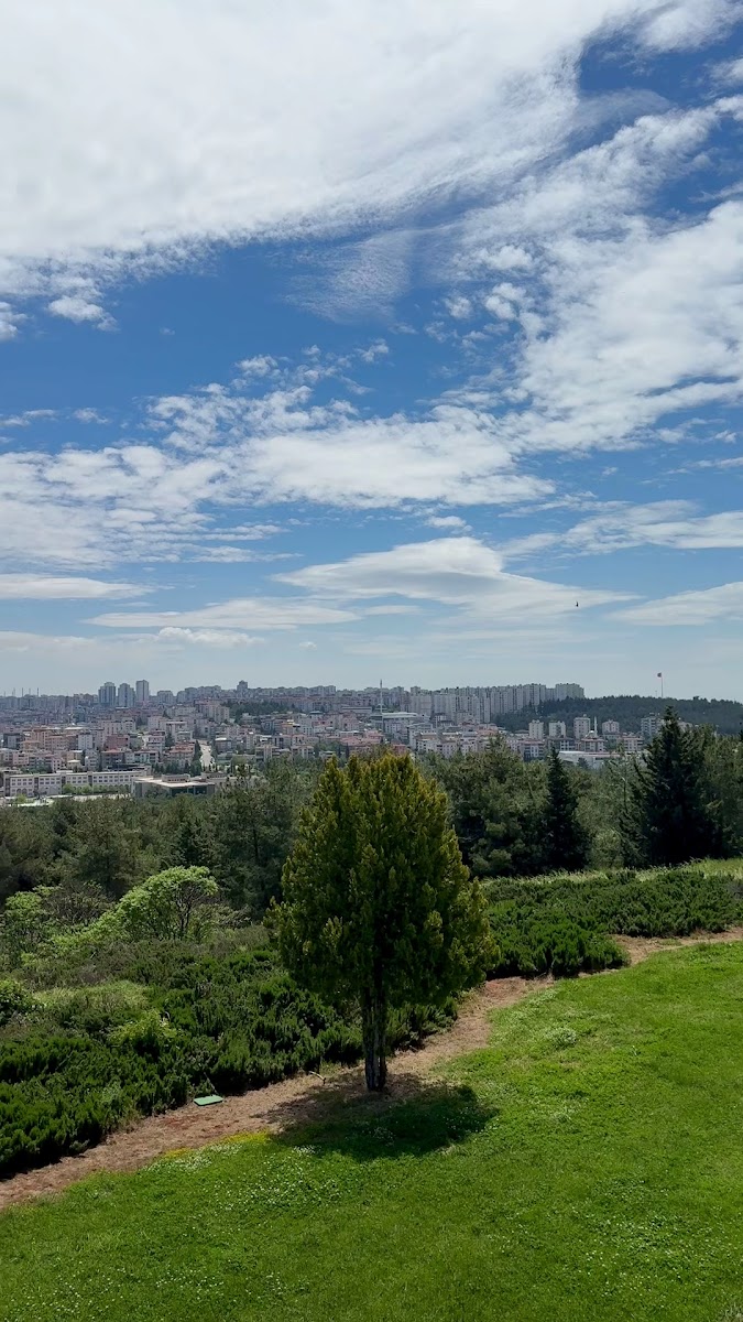 Seyirtepe Tesisleri — photo 3