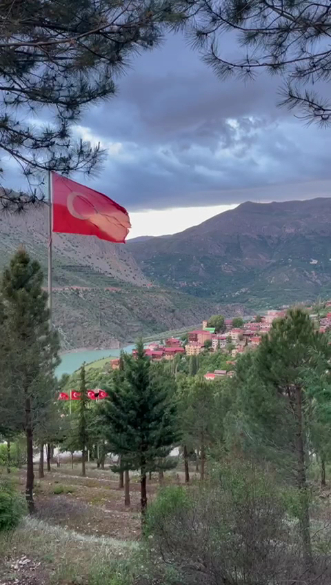 Seyit Ali Parkı Aile Çay Bahçesi — fotoğraf 3