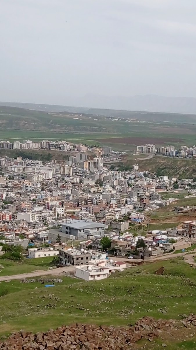 Seyr-i Cizre Lokantası — fotoğraf 3