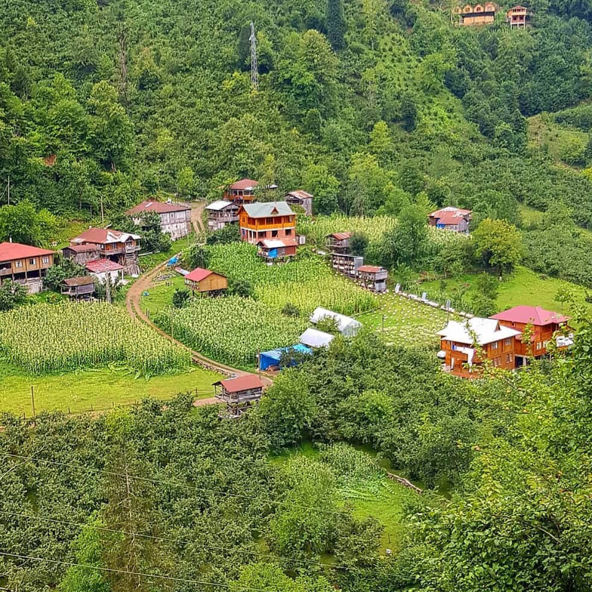 Seyri Macahel Otel & Restaurant — fotoğraf 4