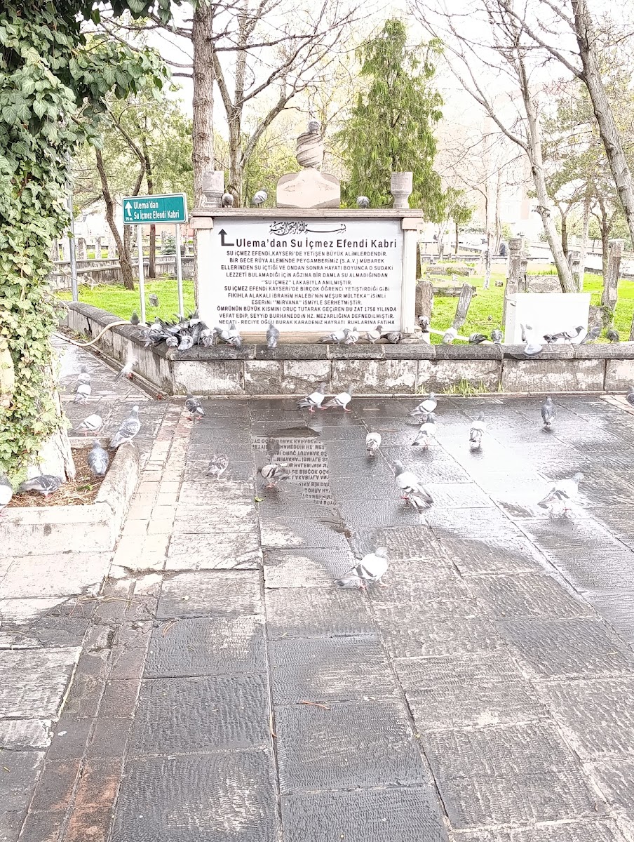Seyyid Burhaneddin Hz. Türbesi — fotoğraf 2