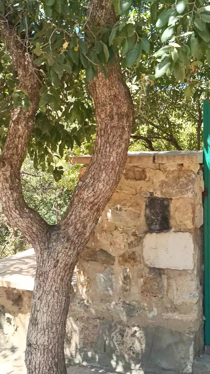 Seyyid Taha-yı Hakkâri — fotoğraf 3