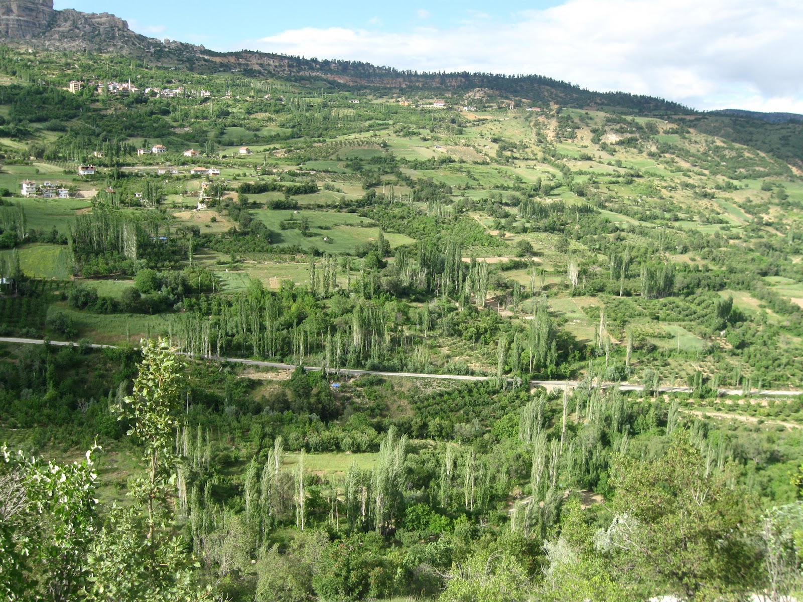 Şh. Şevket Sağlam Parkı — photo 2