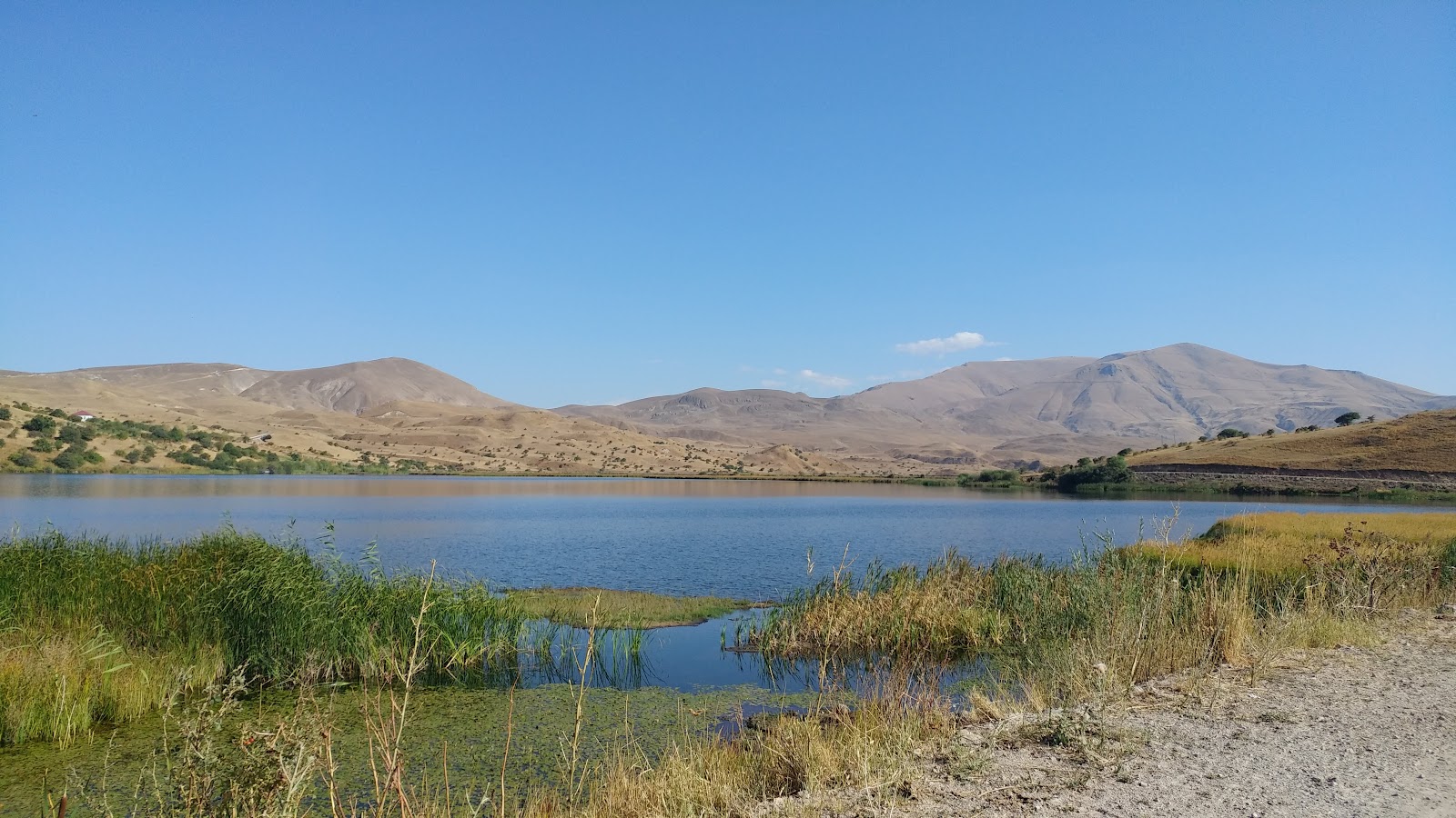 Shahbuz National Reserve — photo 4