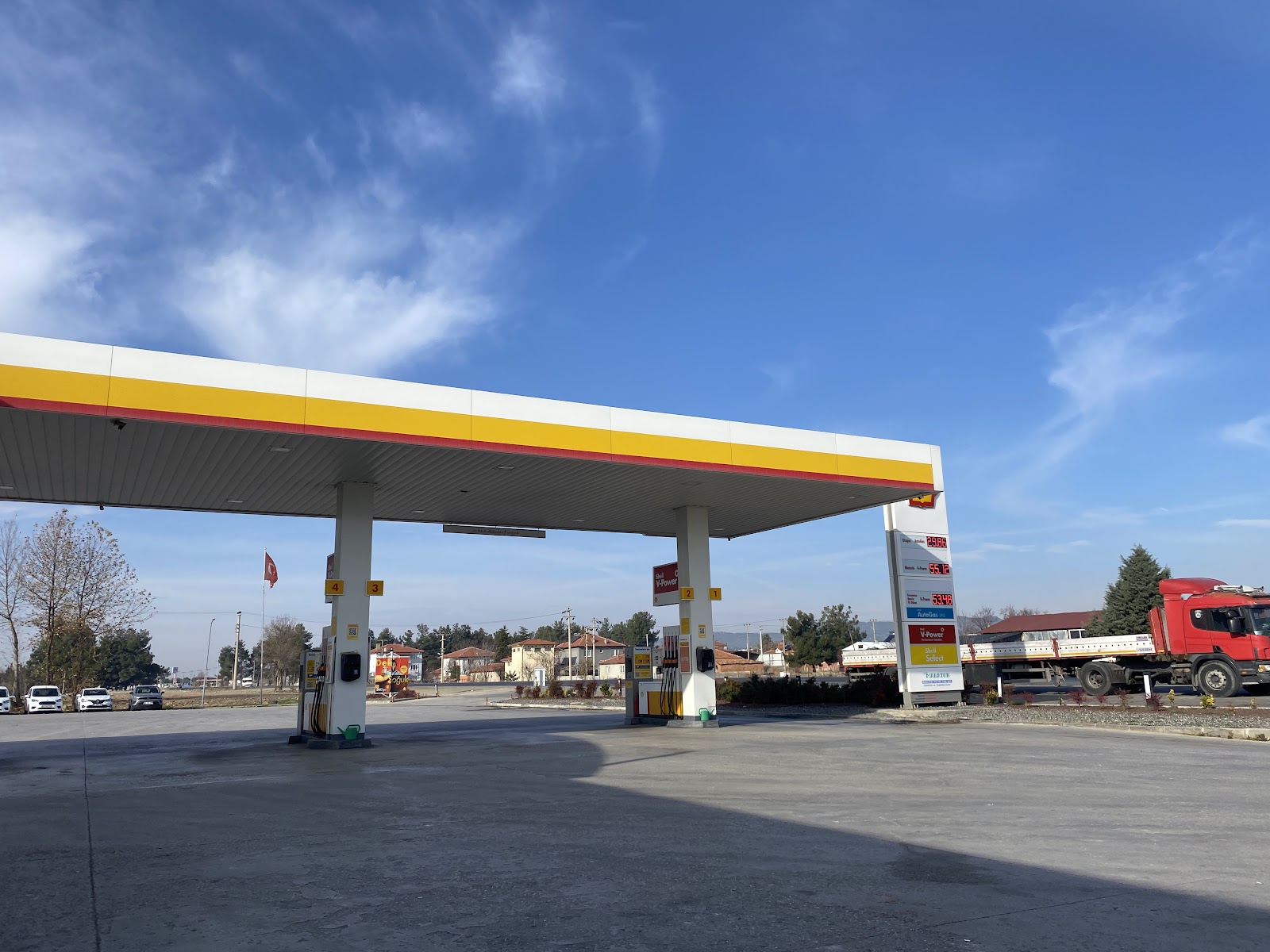 Shell — photo 5