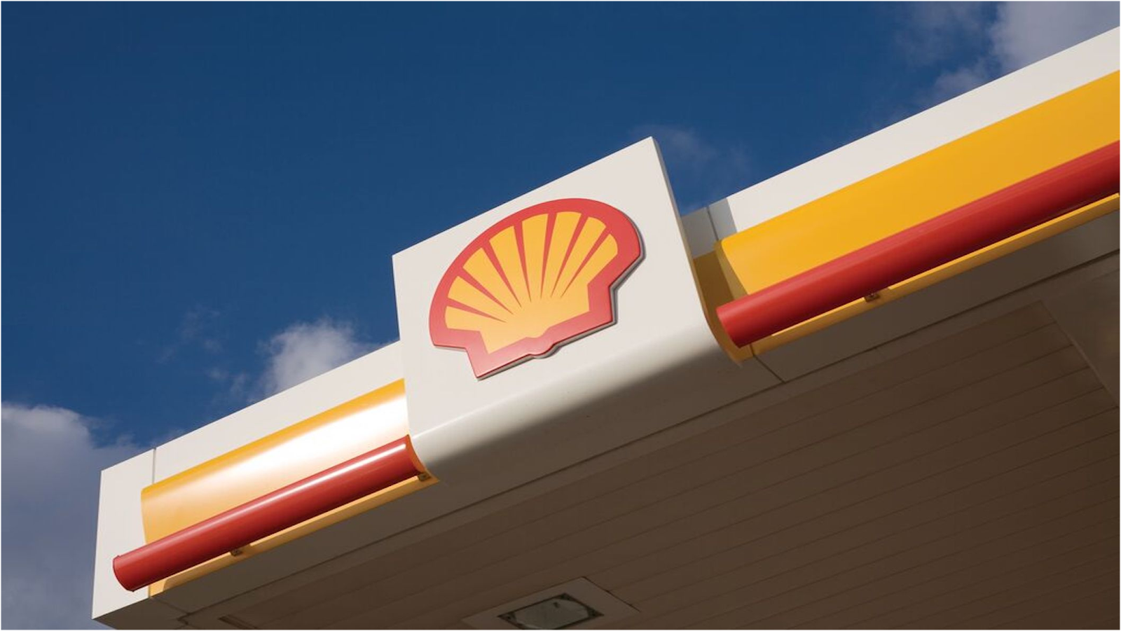 Shell — photo 7