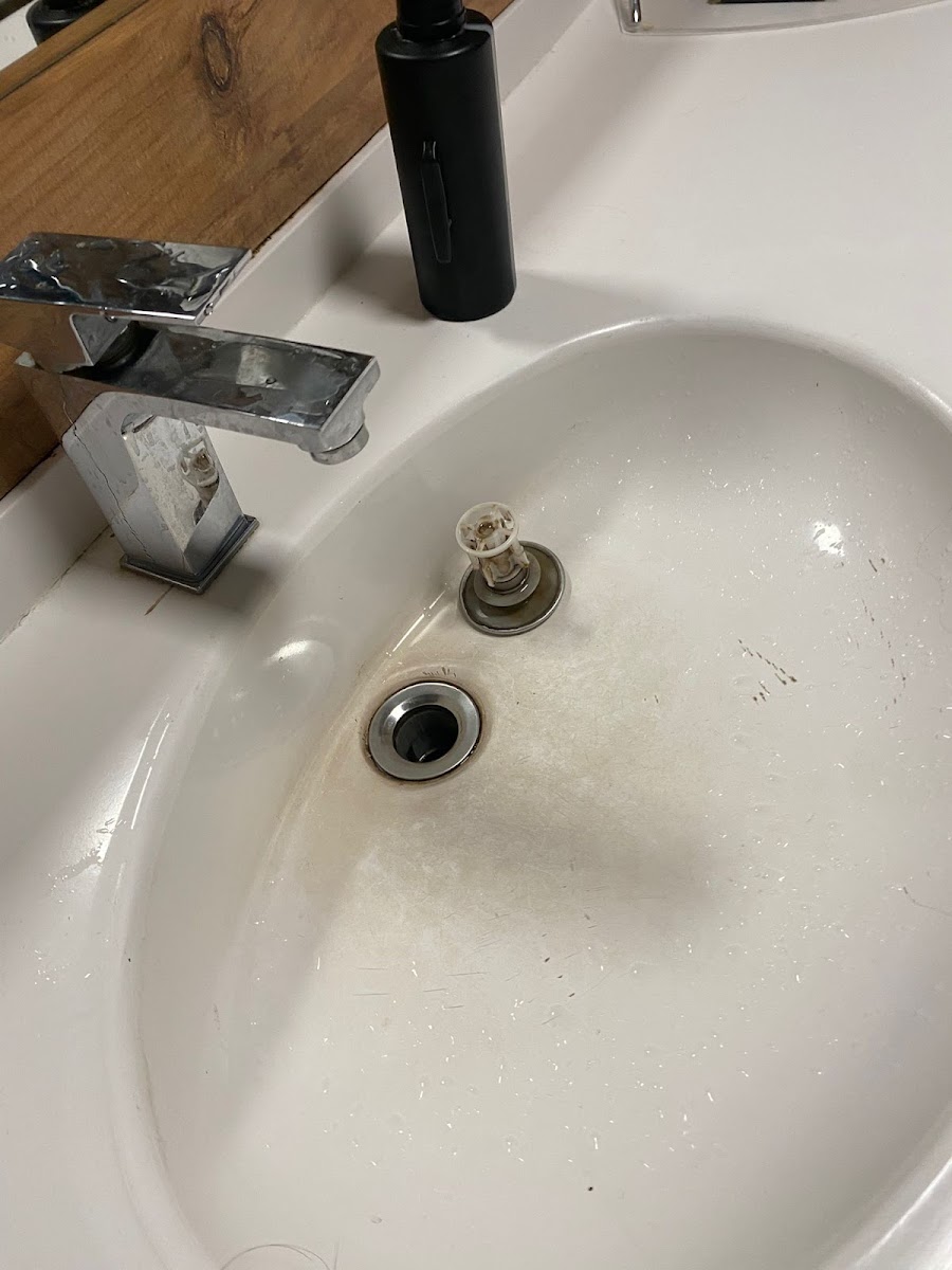 Shelter Inn Hotel & Spa — fotoğraf 2