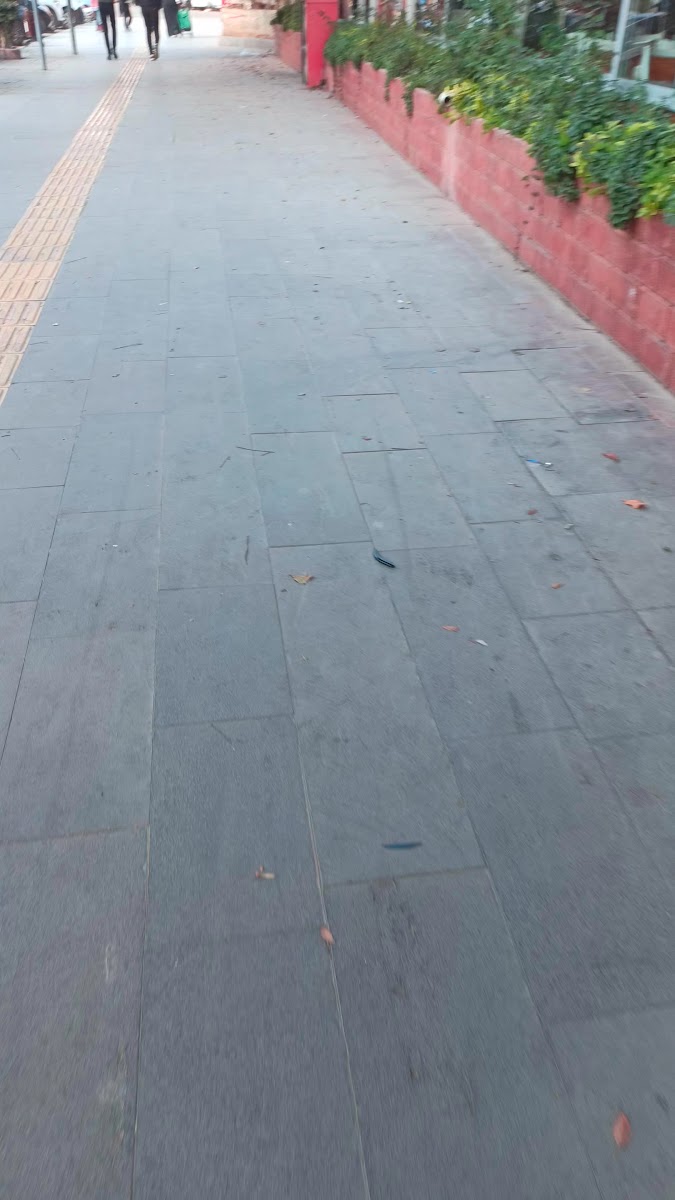ŞÎN RESTAURANT — fotoğraf 3