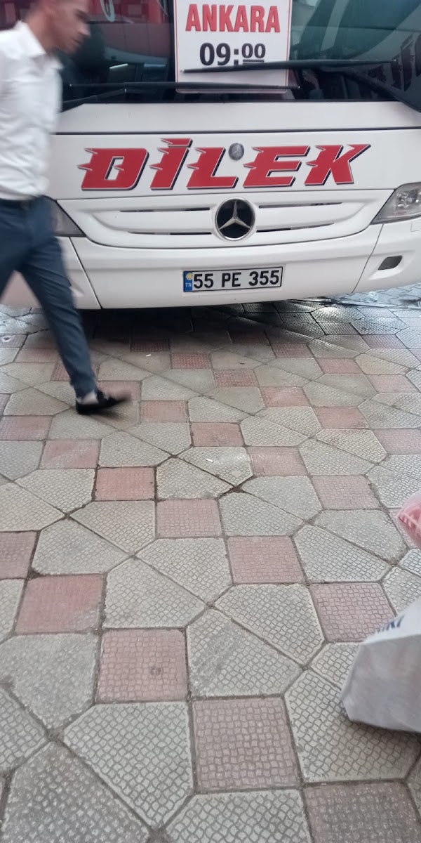 Sincan Hayvanat Bahçesi — photo 6