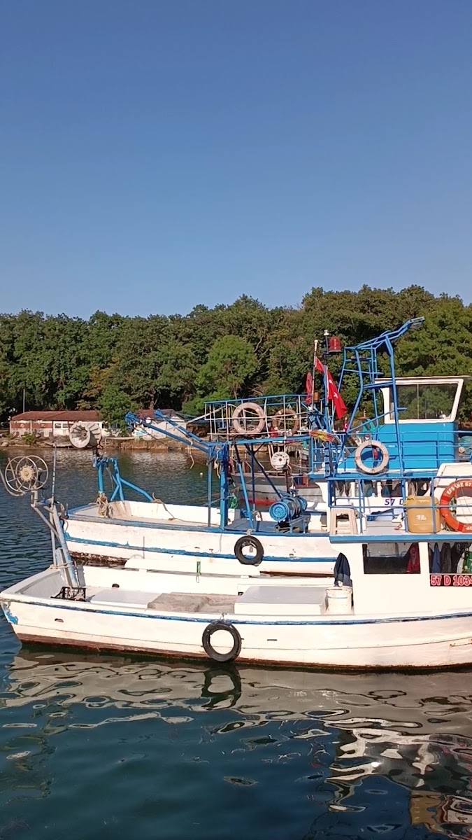 Sinop Akliman — fotoğraf 2