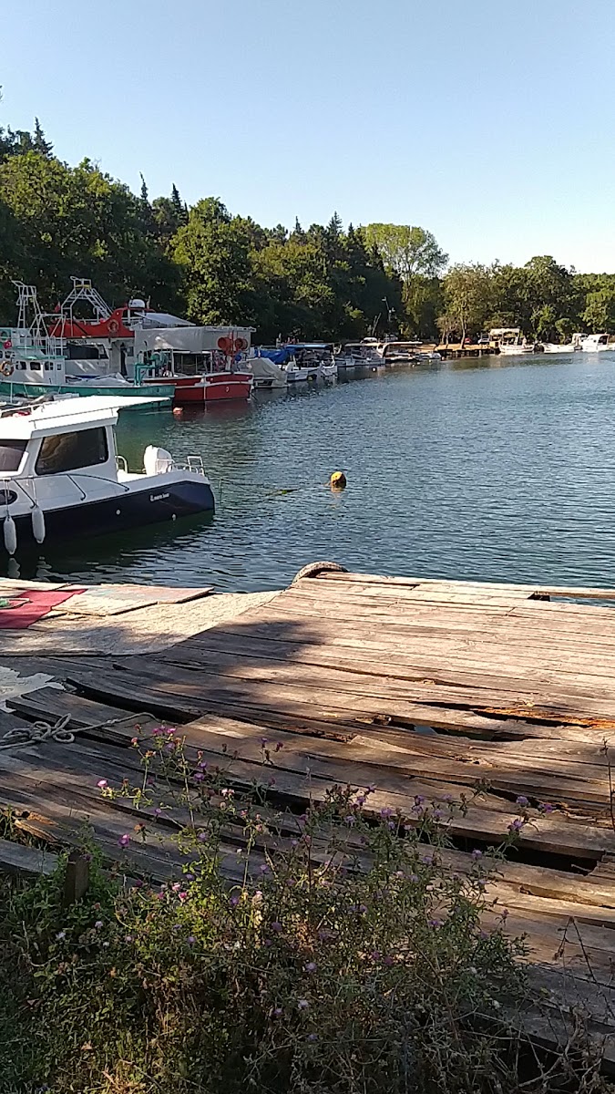 Sinop Akliman — fotoğraf 3