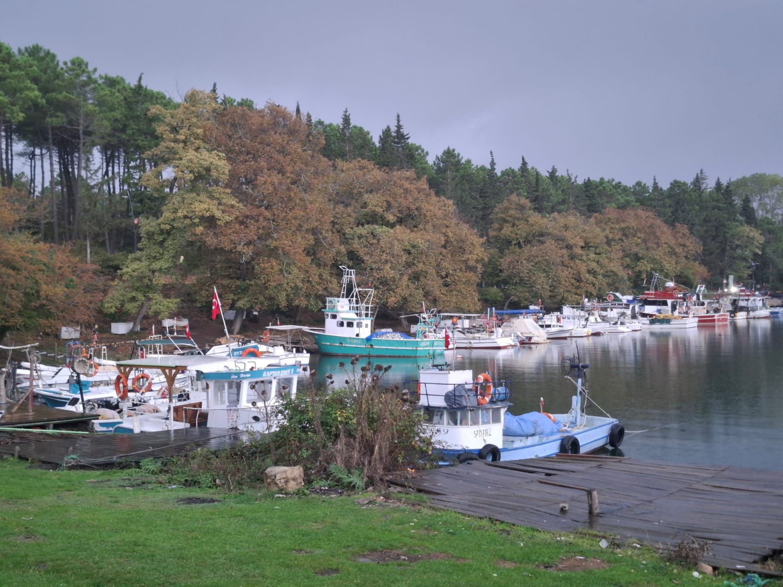 Sinop Akliman — fotoğraf 5
