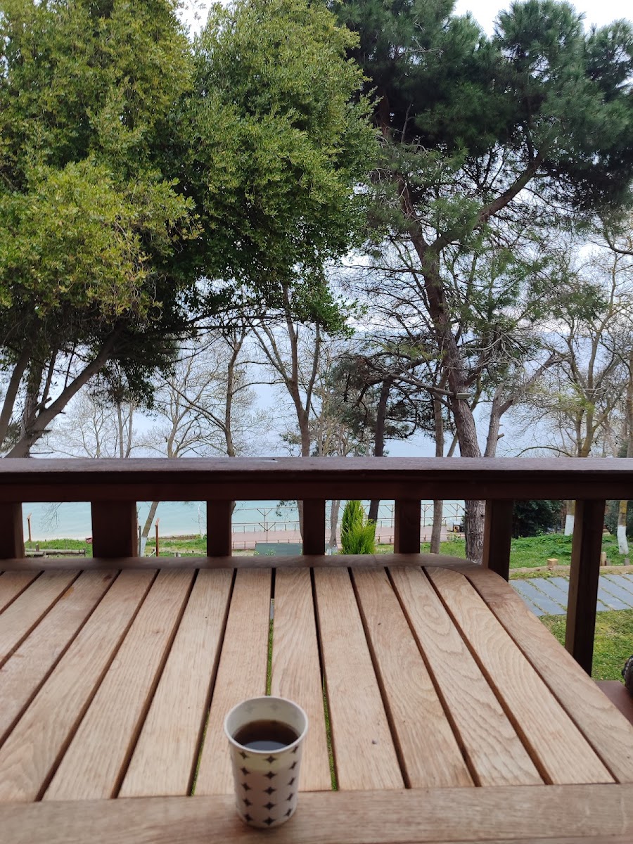 Sinop Bahçeler Villa — fotoğraf 2