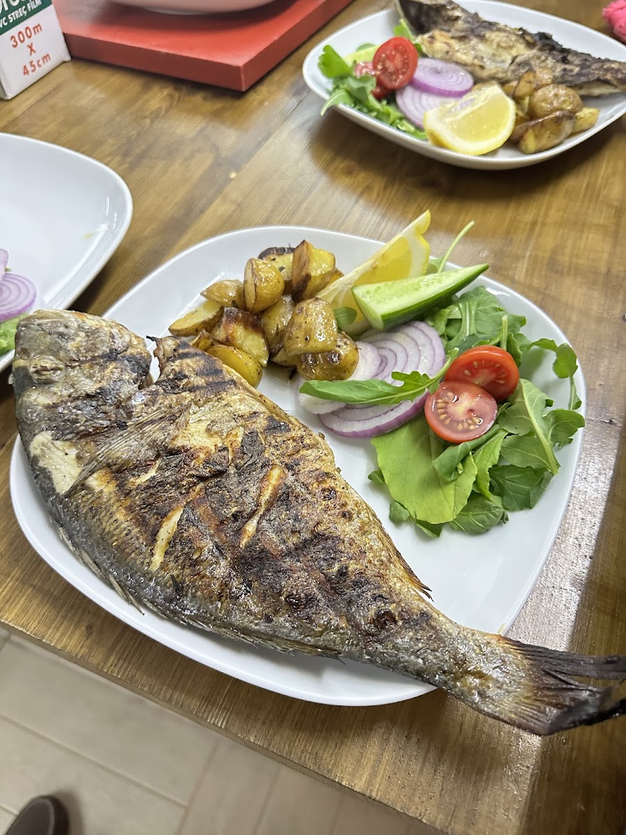 Sinop Laci Restaurant — photo 4