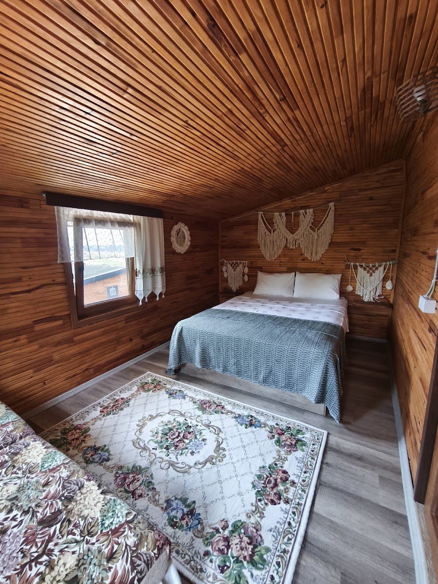 Sinop Leyla Hanım Konağı — fotoğraf 2