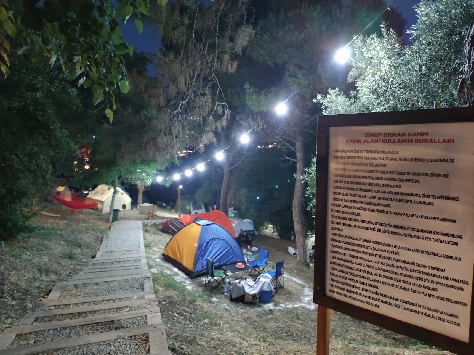 Sinop Orman Kampı — fotoğraf 1