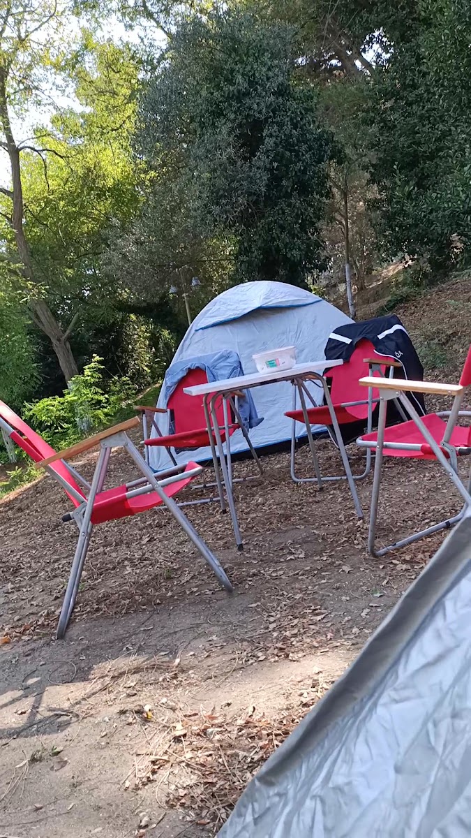 Sinop Orman Kampı — fotoğraf 3