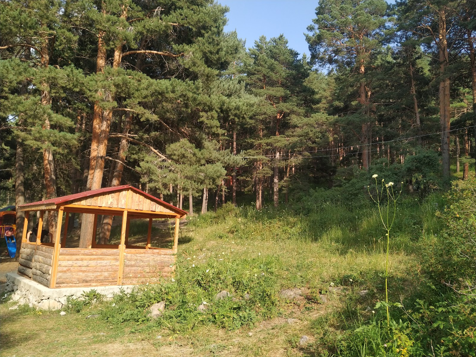 Şırankes Mesire Alanı — photo 2