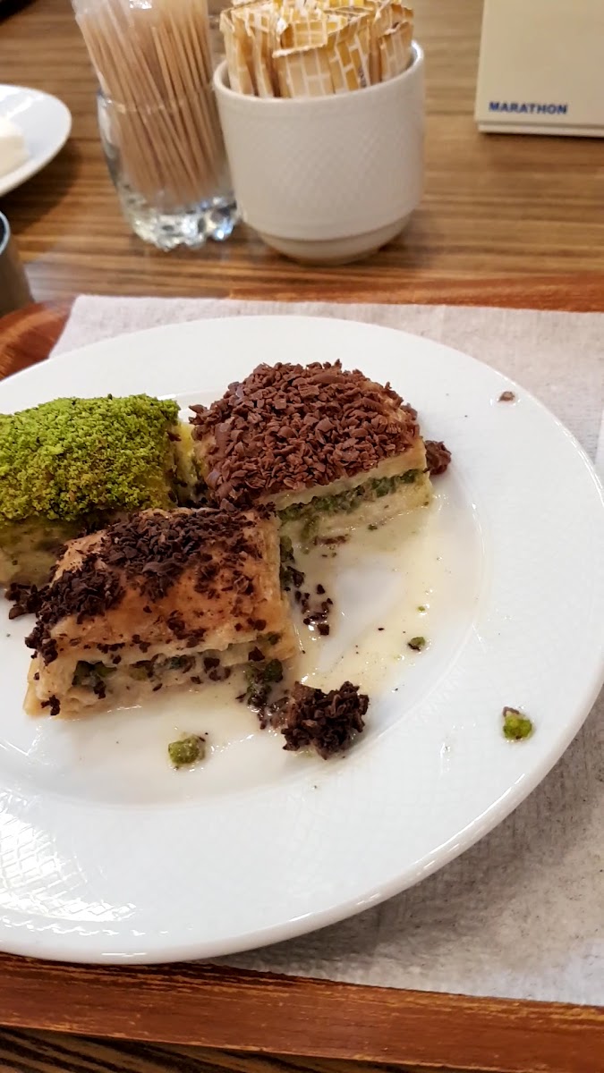SITKI USTA DİCLEKENT VİLLALARI ŞUBE — fotoğraf 3