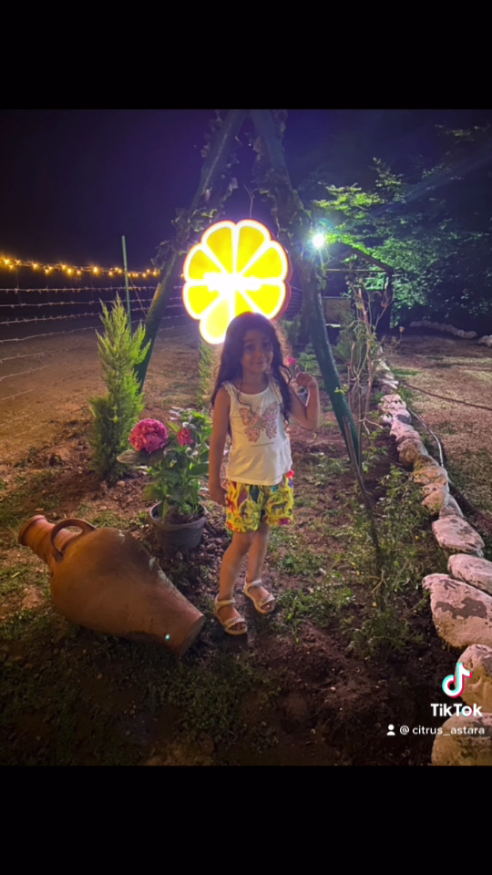 sitrus astara — photo 5