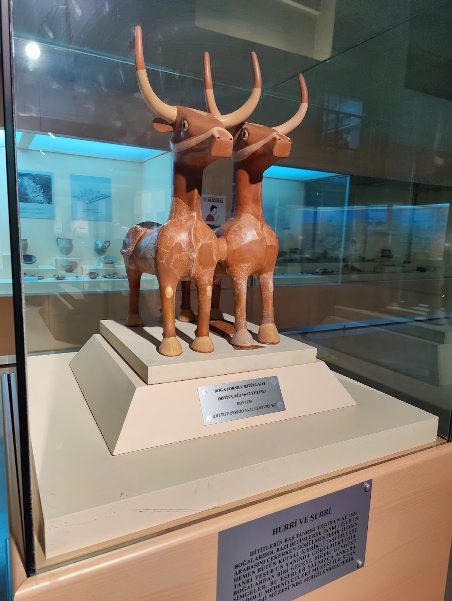 Sivas: Arkeoloji, Kongre ve Aşık Veysel müzeleri