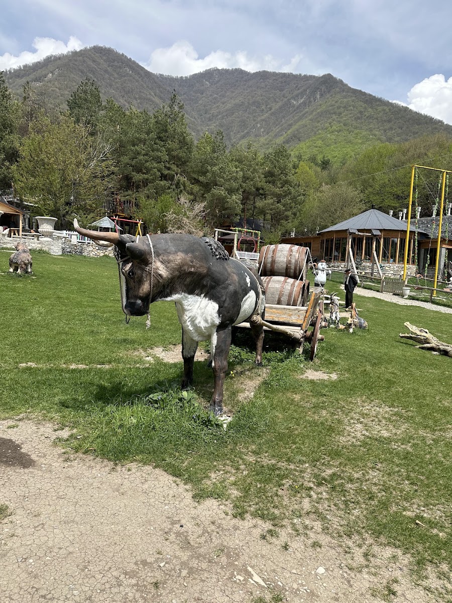 Şəki ZİP LİNE — photo 2