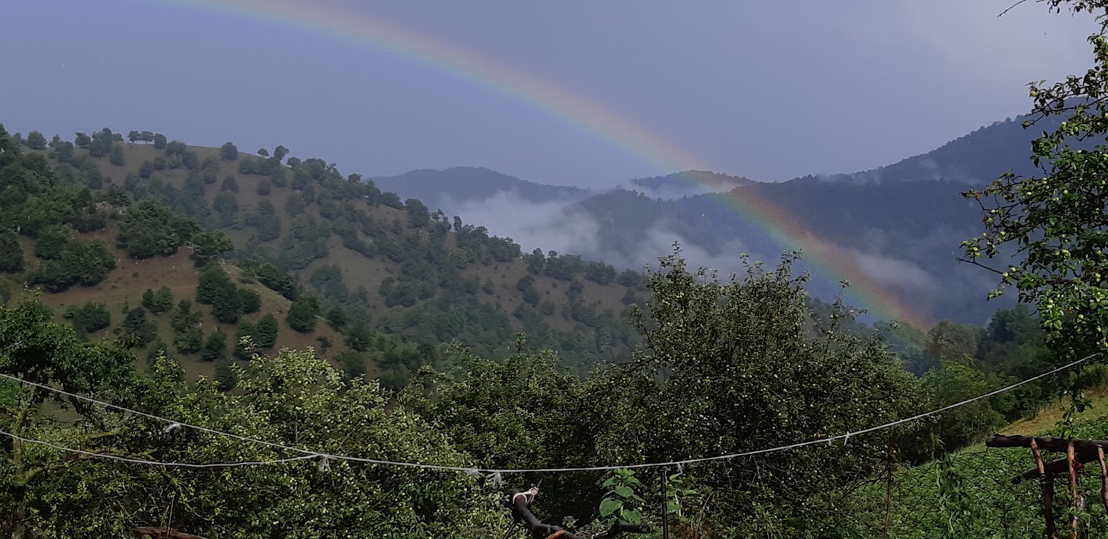 Şəlalə — photo 3