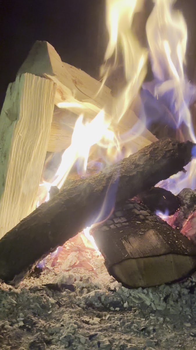 Snowflake Dağ Oteli & SPA — fotoğraf 2