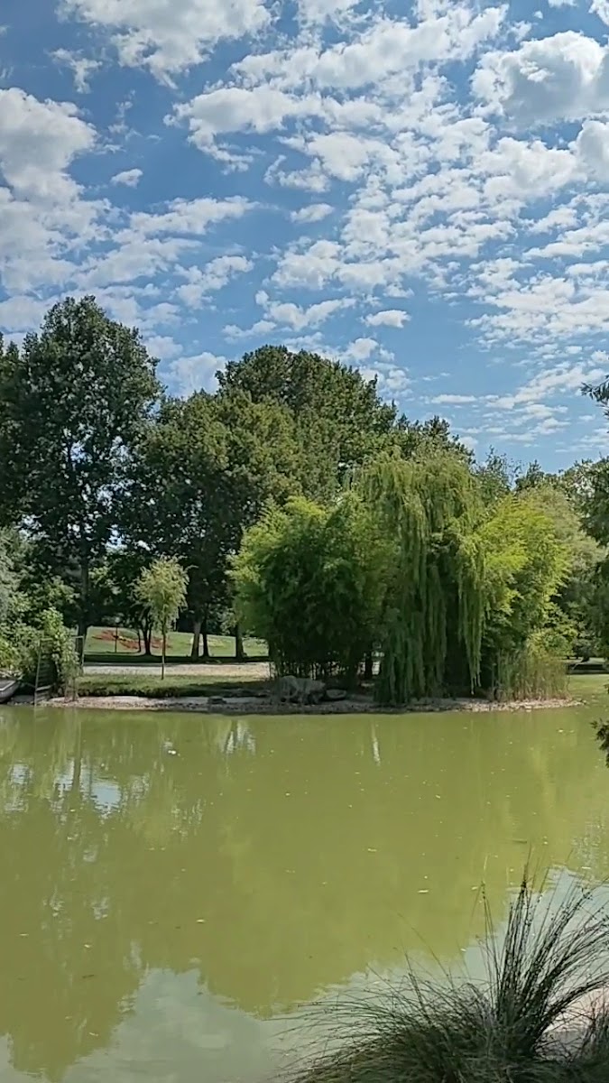 Soğanlı Botanik Parkı — photo 3