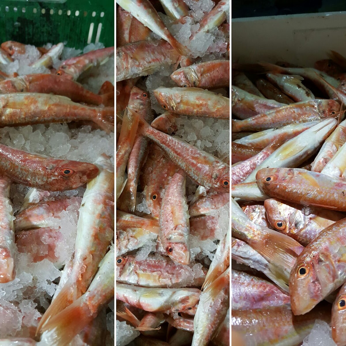 Söğütlüpınar Balık Restaurant — fotoğraf 6
