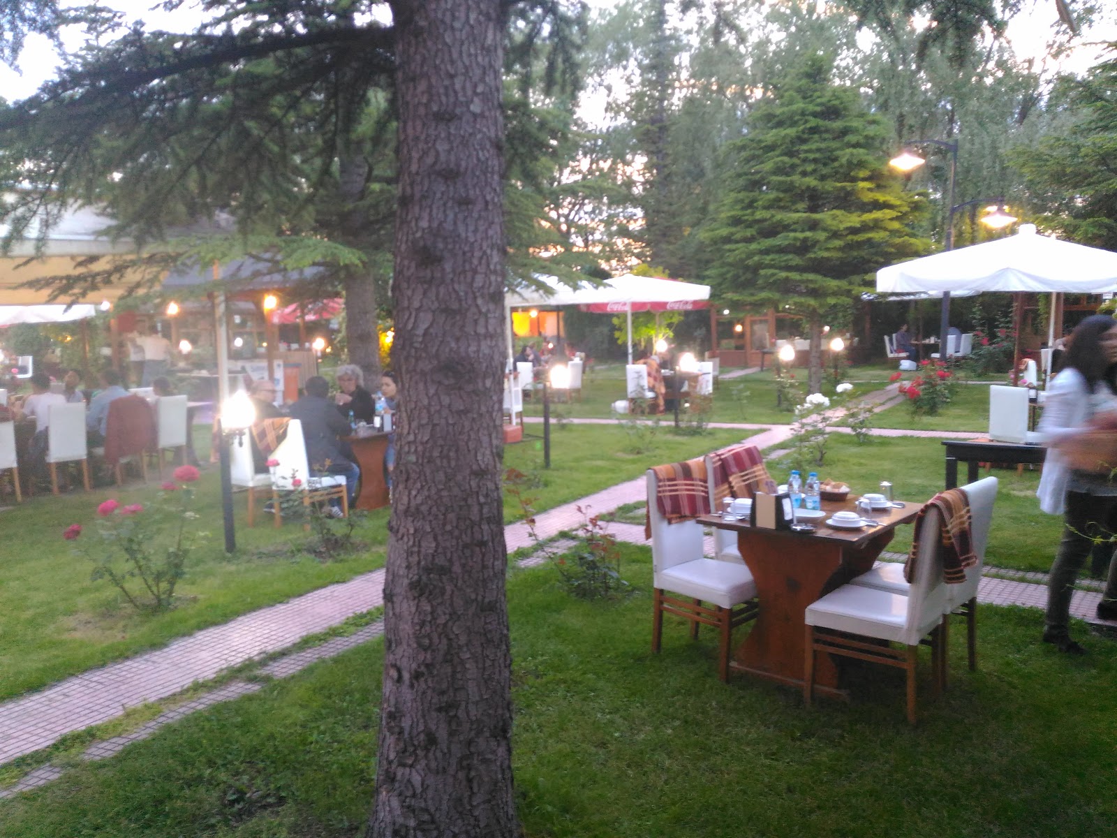 Söğütönü Alabalık — photo 5