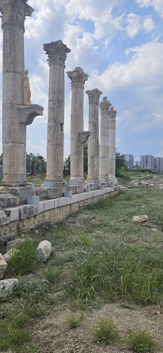Soli Pompeiopolis Antik limanı — fotoğraf 2