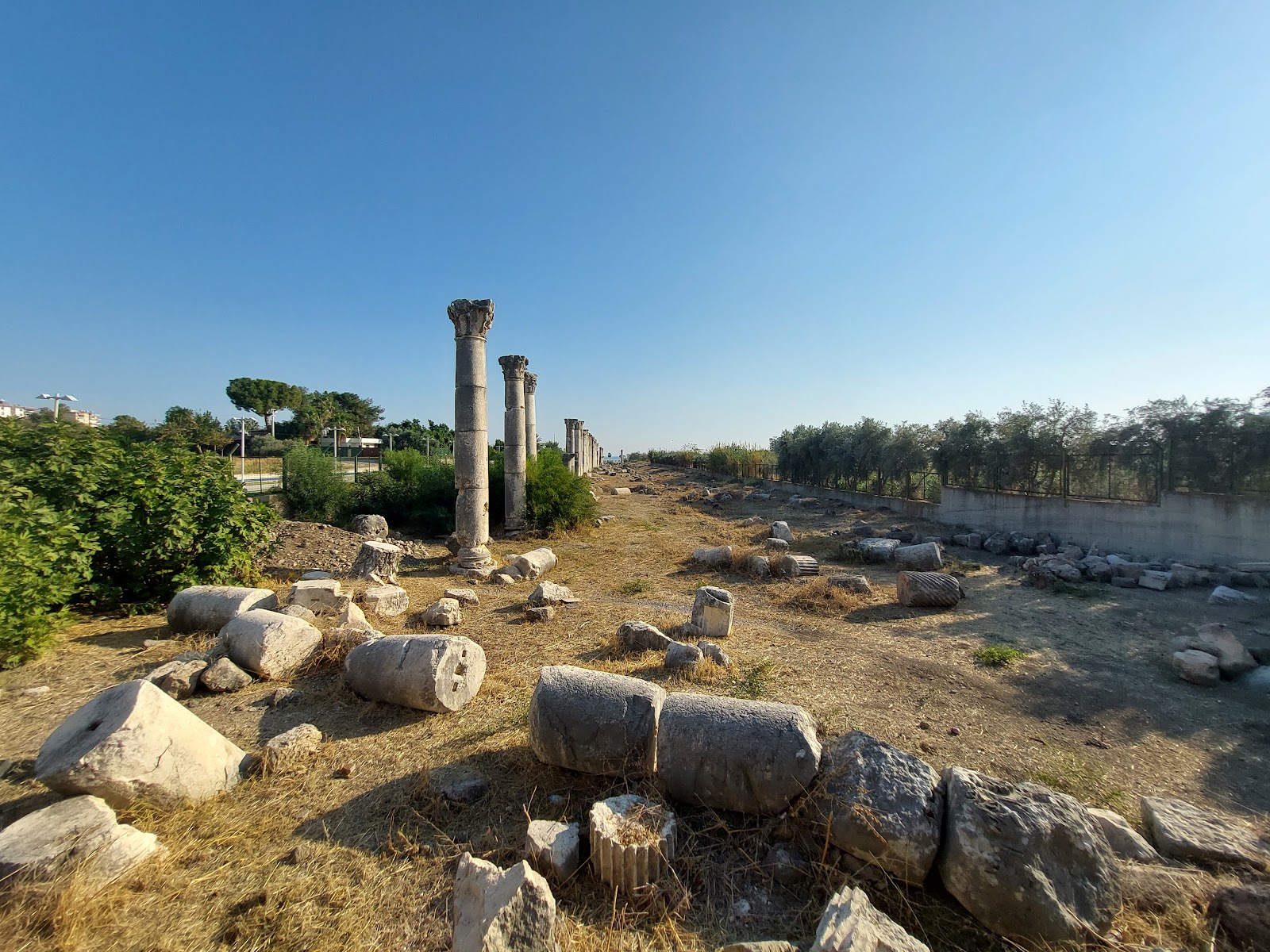 Soli Pompeiopolis Antik limanı — fotoğraf 5