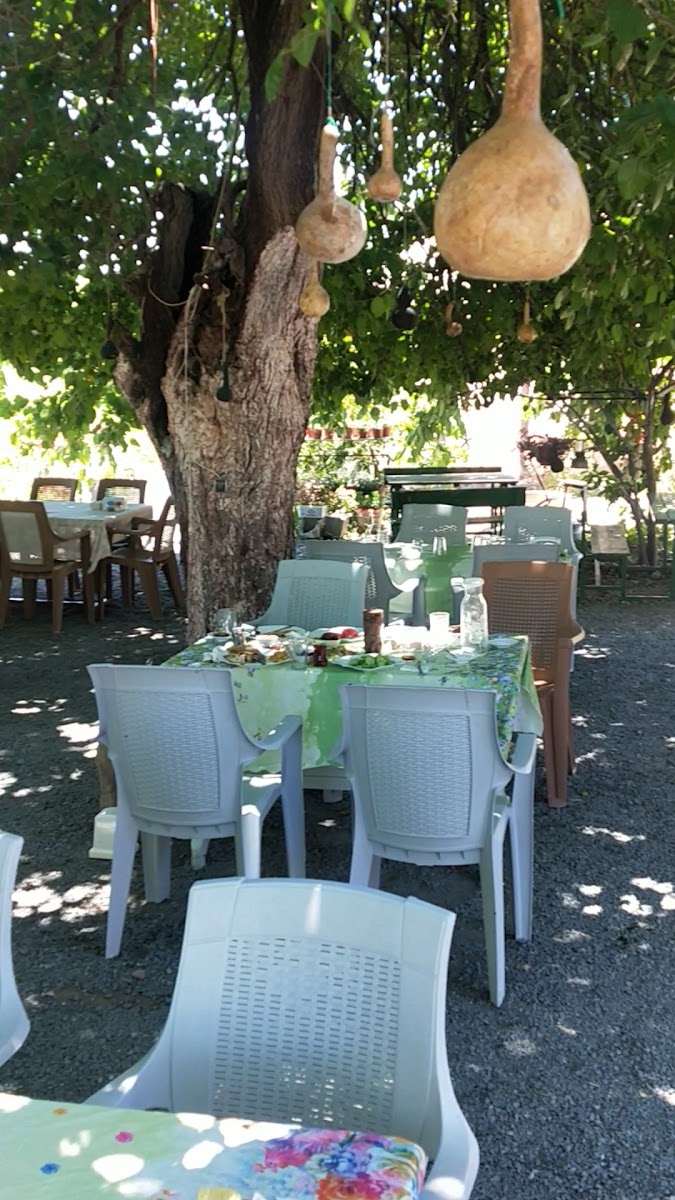 Songül Bacı Gözleme Evi — photo 3