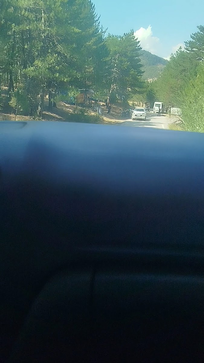 Sorgun Göleti Tabiat Parkı — photo 2