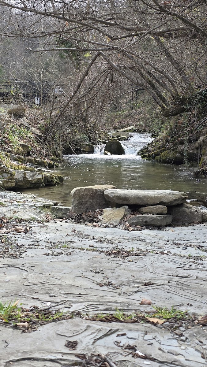 Sorkun Şelaleleri Tabiat Anıtı — fotoğraf 2