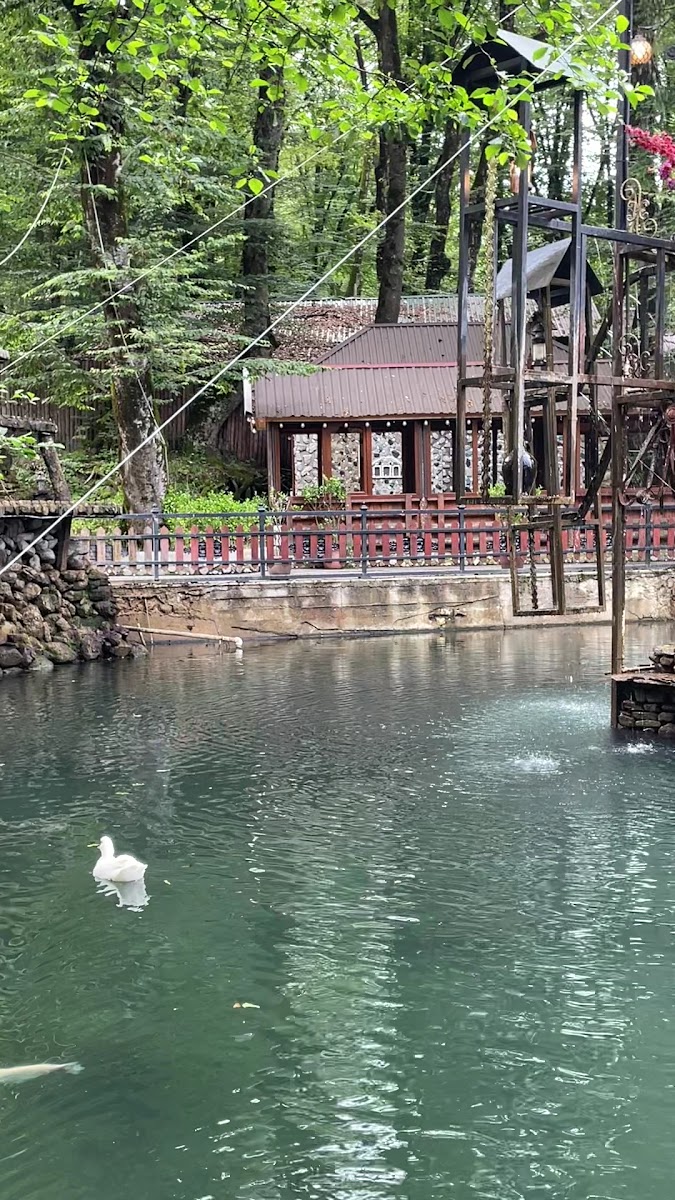 Soyuq Bulaq Qəbələ Restoranı — photo 3