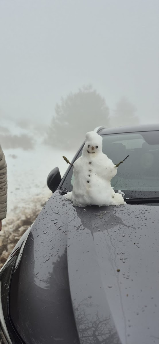 Spil Dağı Milli Parkı — fotoğraf 3