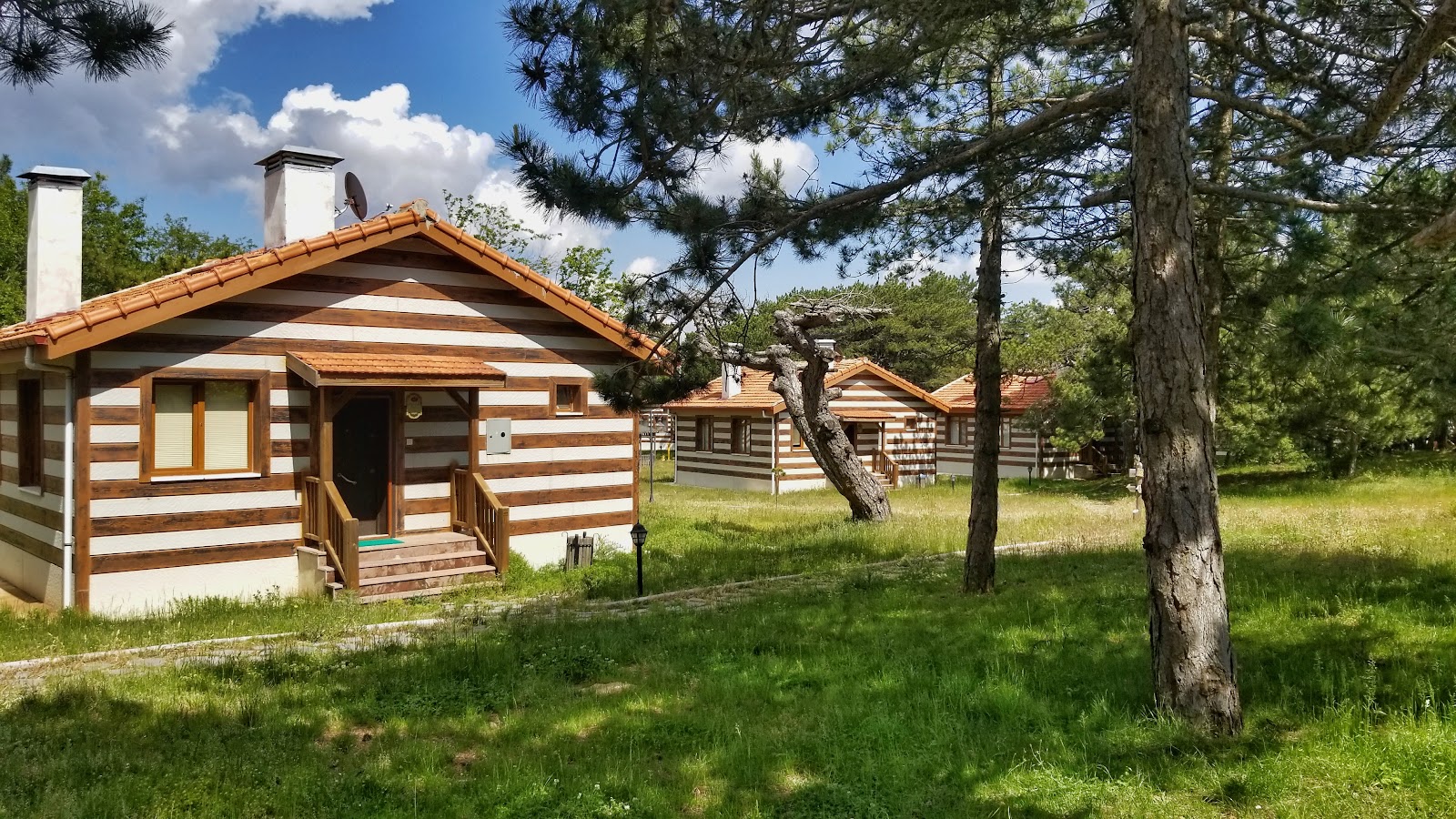 Spil Dağı Piknik Alani — fotoğraf 2