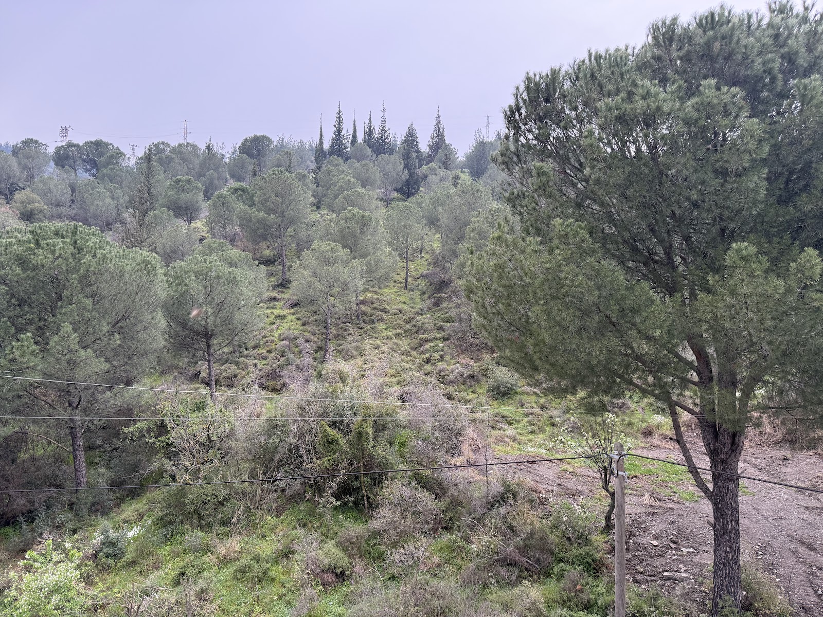 Spilos Hotel — fotoğraf 2