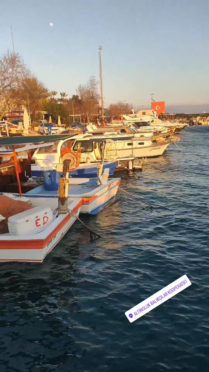S.S. Altınoluk Su Ürünleri Kooperatifi — fotoğraf 2