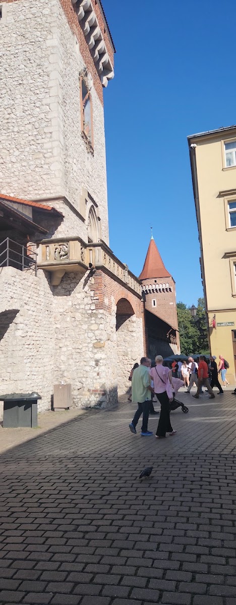 St. Florian's Gate — photo 3